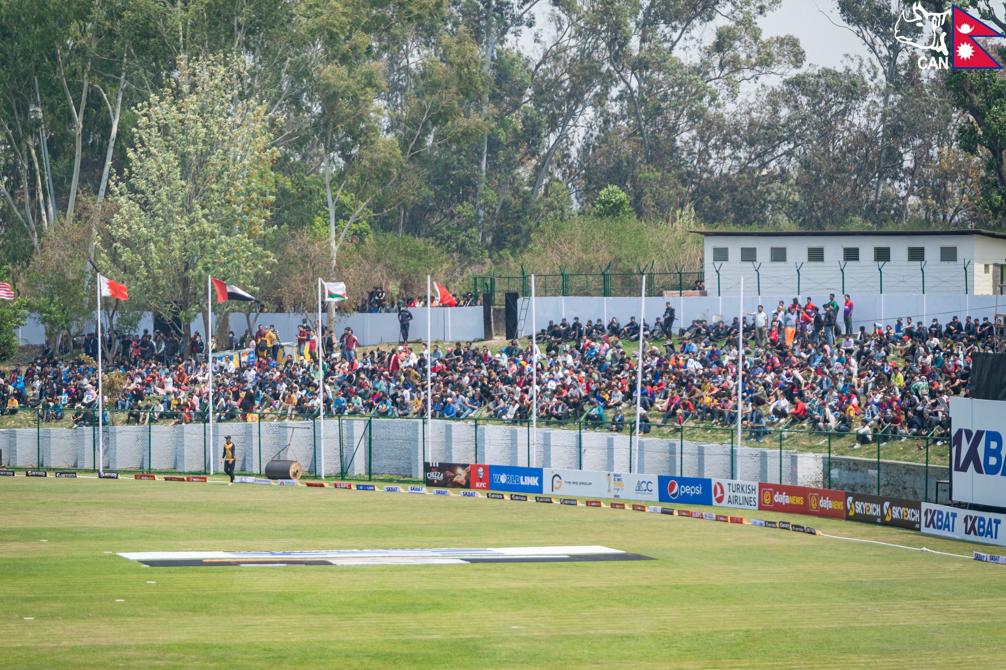 nepali cricket fans71681819722.jpg